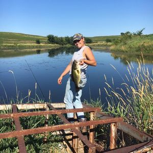 Meet your Posher, Bailey